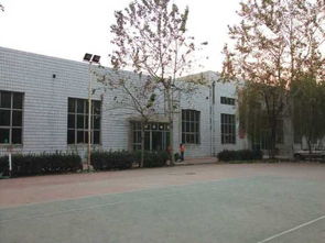 保定乒乓球訓練班圖片,保定乒乓球訓練班高清圖片 保定市正大乒乓球學校,